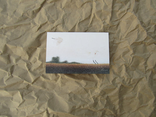"Descent at Dawn II" greeting card
