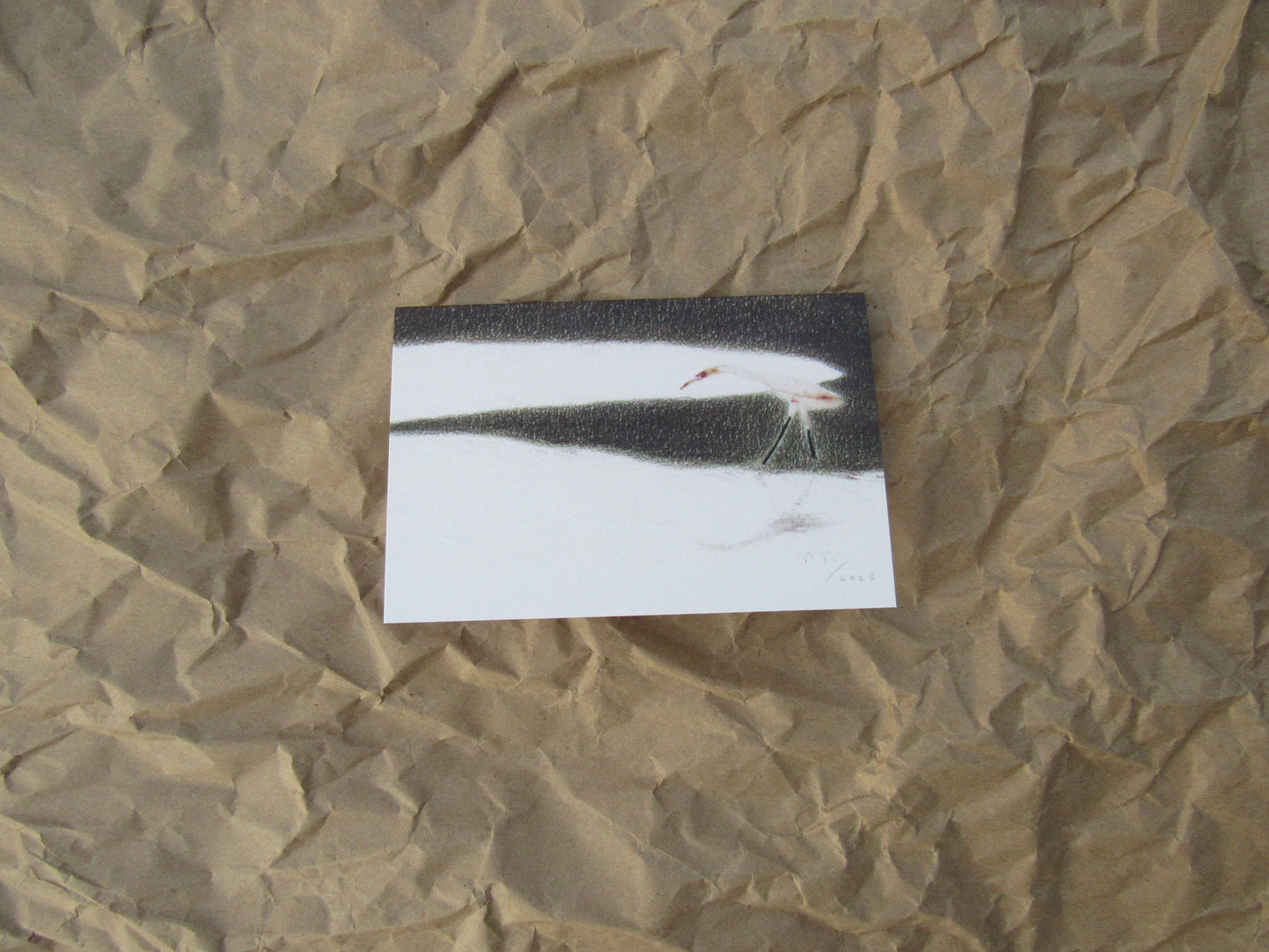 "Descent at Dawn III" greeting card