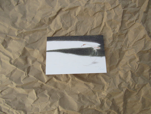 "Descent at Dawn III" greeting card