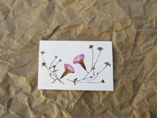 "October Roadside" greeting card