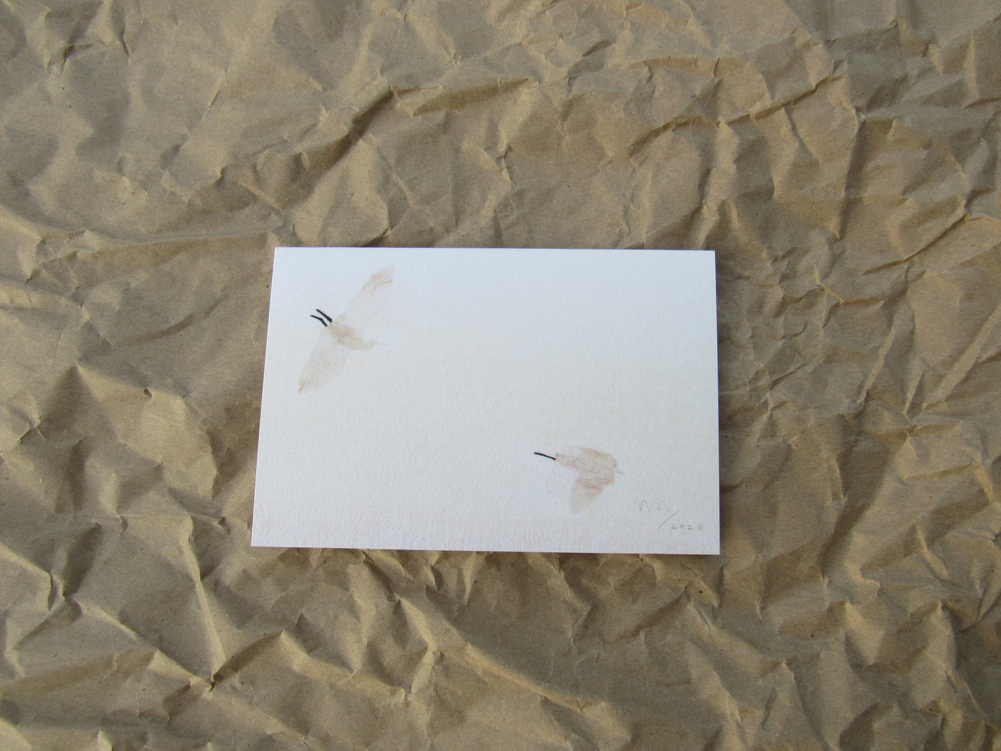 "Descent at Dawn" greeting card